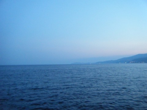 ne2c33kgpmpoejkd77bf_480_480-ea61046e.jpg