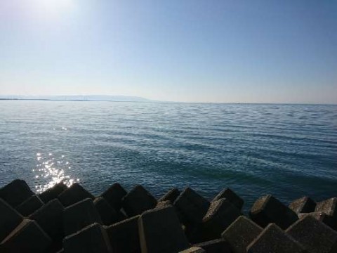 ne8gd657y6b4vdza2yjh_480_480-f75ad589.jpg