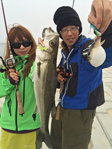 ne94o8gra48sx75brs3t_480_480-cf912446.jpg