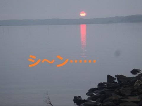 nebg8eps5n6fydtp8xox_480_480-f219d606.jpg