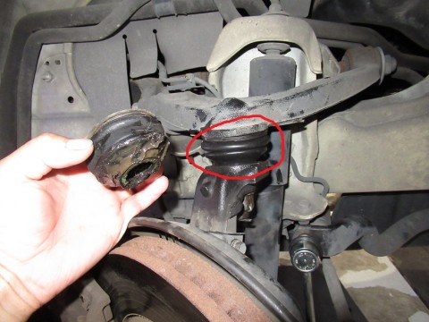 neptpifb7xdmpg25dtne_480_480-3db25282.jpg