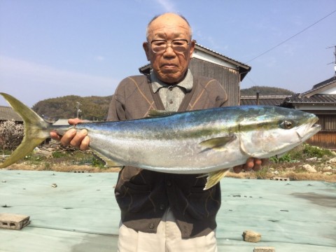 97センチのブリ!