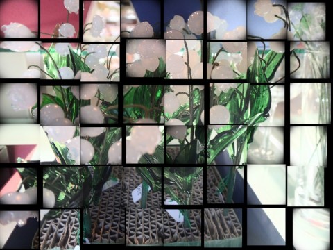 nf2i5xdgo82oogim2b75_480_480-b887840b.jpg