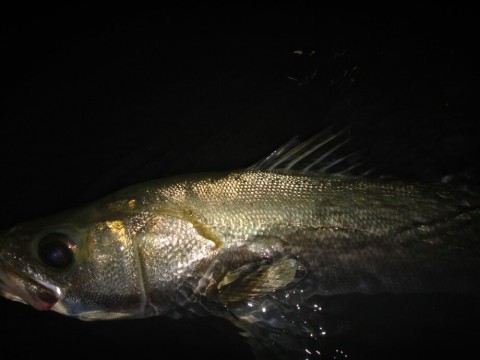 nf9wnrecjvh5fyw9uz7t_920_690-2d057d24.jpg