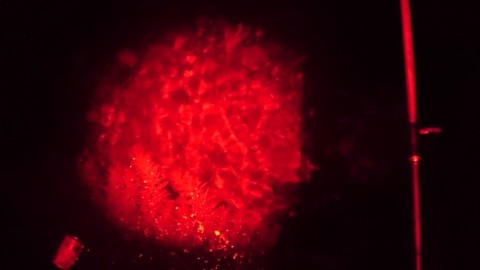 nfbrpx5rke2ic2xm4jr7_480_480-e0427096.jpg