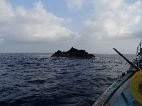 nfhe8ndw7ye8uaxdjgin_480_480-df471c34.jpg