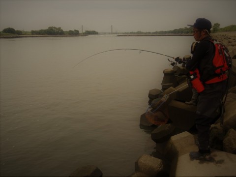 nfic464okmgzpp598dg5_480_480-8240ded9.jpg