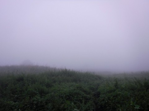 ng3knfycvh3d3o2tpi5e_480_480-088262ff.jpg