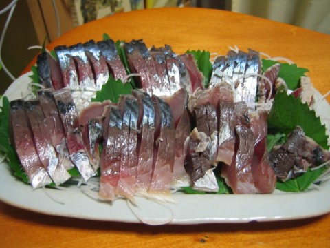 ngVfrvfEsSxbBAEfTKFP_480_480-a1ff4111.jpg