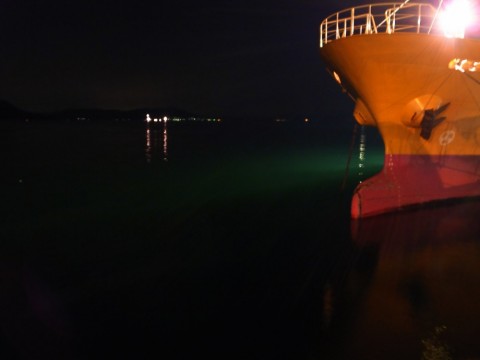 nghmepbj52k2yvx2sxa3_480_480-7c8f2353.jpg