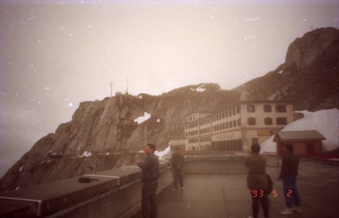 ngnz43ontexn649irom5_480_480-b0b9f8c2.jpg