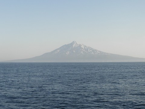 ngv4wwhzbsuhrtuzkpyu_480_480-a35fb501.jpg