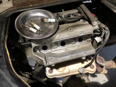 ngvtt722hizs9do6xpc5_480_480-e3008591.jpg