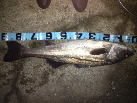 ngw598bioaus5u3vo5t7_920_690-55242932.jpg