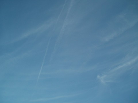 nhgk3ctgrxh3xnfnekoo_480_480-42679791.jpg