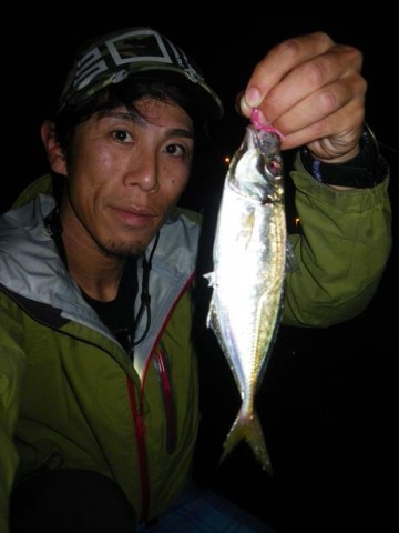 nhhyrucdbr5maneydy7v_480_480-766ab765.jpg