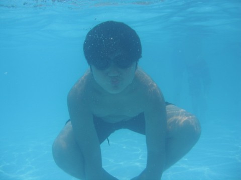 nhiv9vsdxp4v8u4ga5ds_480_480-e9913c78.jpg