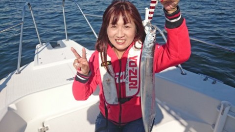 nhktmmonhx5vcfkzrb85_480_480-afc2adaa.jpg