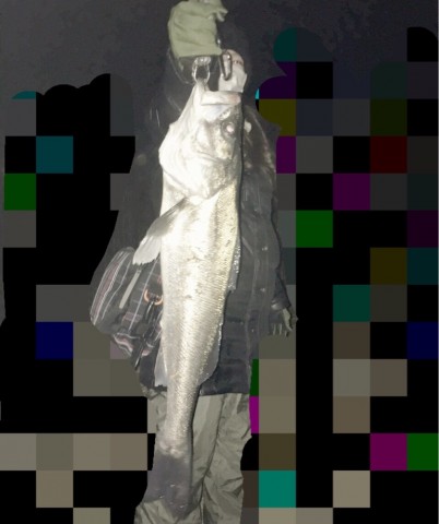 ni3idws3bsoayhrj44bp_770_920-405edbf3.jpg