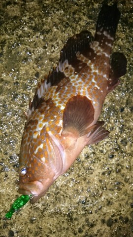ni7rvvy6kreet3dwxw89_518_920-e4766fd8.jpg