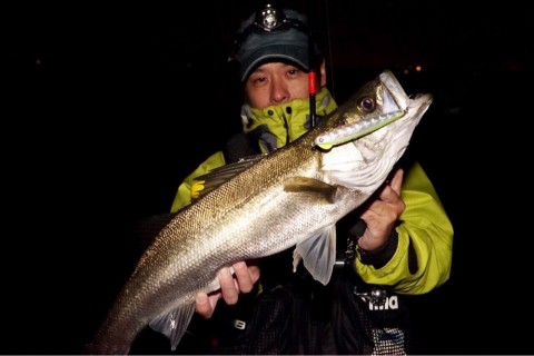 nibo8ppg84wkuv69u3y8_920_613-02fdf15c.jpg