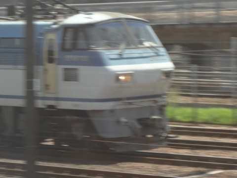 niehbrwfs58eu7xdsjsn_480_480-e9215d3a.jpg