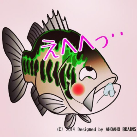 nii2m9wfpdc9zo5ttoef_480_480-019c55e1.jpg