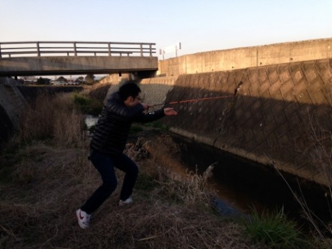 ninin6dny3c9agk9n8ty_480_480-e62a0a41.jpg