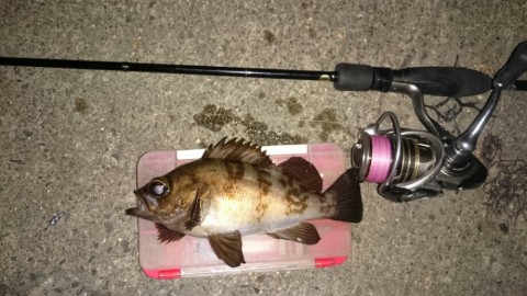 nipoupsjywtsw279xs4r_920_518-e9f736ae.jpg