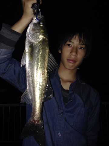nitgsekzu7fh5yuynvmv_690_920-94bb713d.jpg