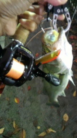 niuwrf4isxy5uvkzyw35_432_768-3d2468ea.jpg