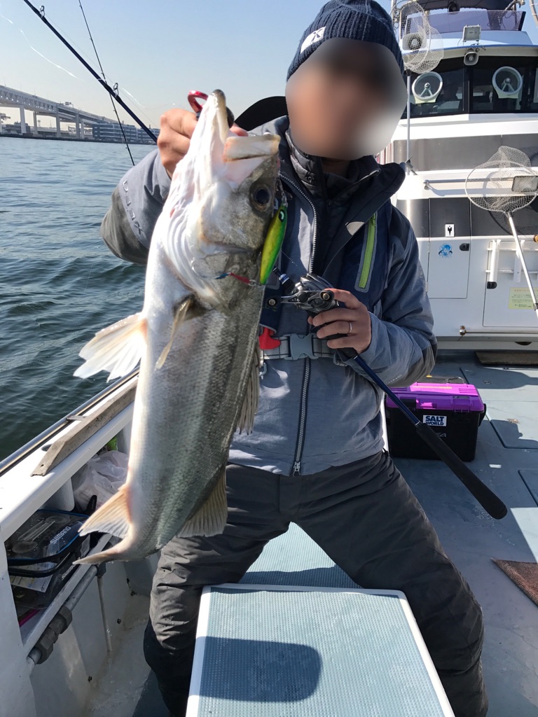 Shimano Saltwater Blog 法改正 ご存知 ライフジャケットの法律 333 365 Shimano Saltwater Blog 法改正 ご存知 ライフジャケットの法律 333 365