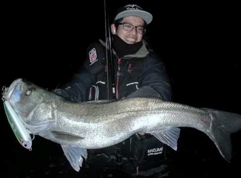 nj457onh6keg76dgkzdb_480_355-501f8d29.jpg