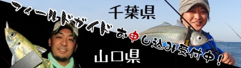 njka6vgavtcga2sonzx5_480_480-e71178b0.jpg
