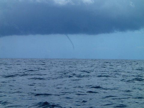 njkansden3j9zaa563nm_480_480-653a426b.jpg