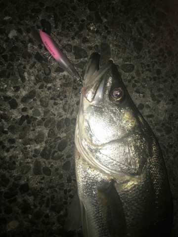 njmgyee9jr2nyi8rsxf6_360_480-70ac5ba1.jpg