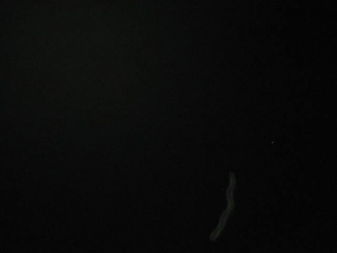 njryew2p2n8n8wfv7nx9_480_480-7fa81647.jpg