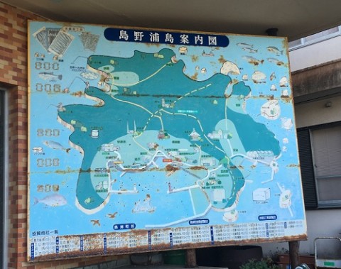 nju8engo9manvu5d4yyx_480_480-754b1f9e.jpg