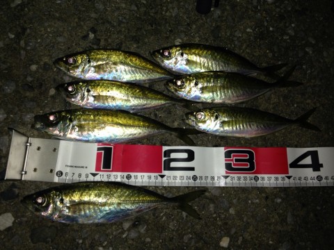 njxeowggidwk3dyxywdt_920_690-7563f638.jpg