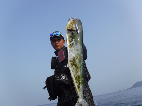 nk744aawr6wp75h8ra3x_480_480-cf1ad001.jpg