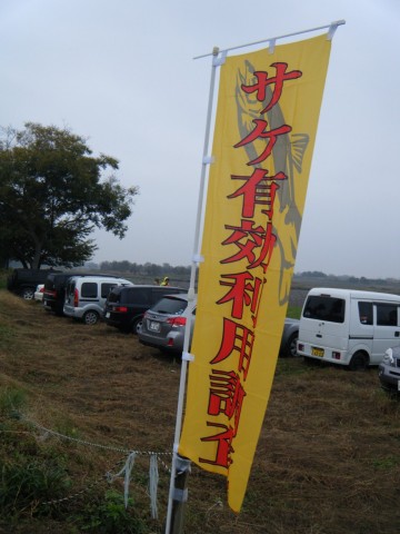 nk7iugfzzx3f2betnabb_480_480-8315ae6a.jpg