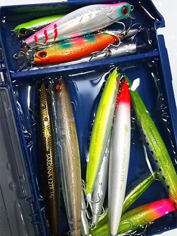 マングローブスタジオ