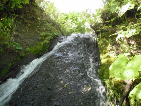 nkvtpszx473vik474o55_920_690-bc1f08b3.jpg