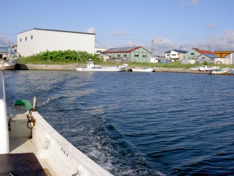 nkxheyxen9ndsemxewce_480_480-697c4975.jpg