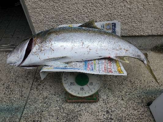 釣りログ タックルバランス論
