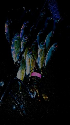 nmrg83suumnmirhbe4on_480_480-4fdb68d5.jpg