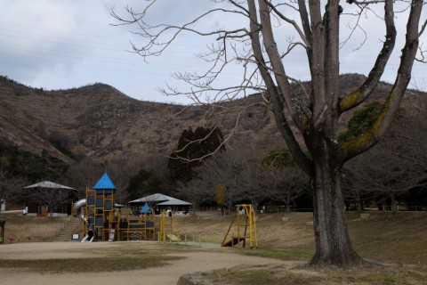 nmtfhdxuko68oaensjbb_480_480-2961ec95.jpg