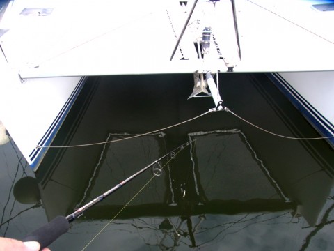 nmungkm97jh4e7c7vy96_480_480-c5a1228d.jpg