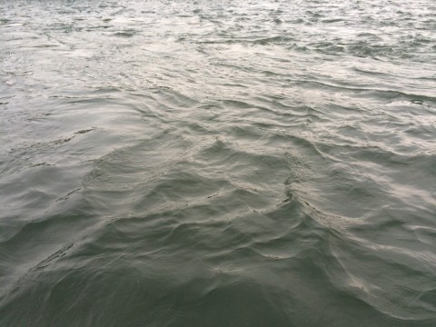 nmxgnz3ko2v9h438xpce_480_480-8e40f637.jpg