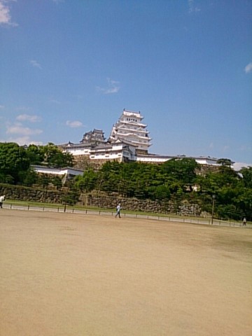 nn2icn6a477fx9g7nufu_480_640-4bf56385.jpg